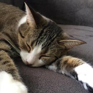 Meet your Posher, Sherri